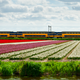 Illustration for article titled The Dutch Railway Could Run Solely on Wind Power By 2018